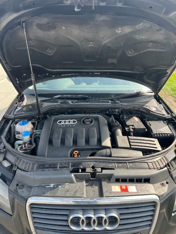 Vas stropgel complet Audi A3 8P Facelift din 2008