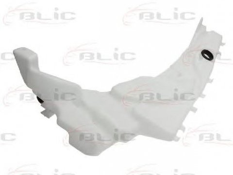 Vas stropgel lichid parbriz FORD FOCUS II DA BLIC 690503039480P