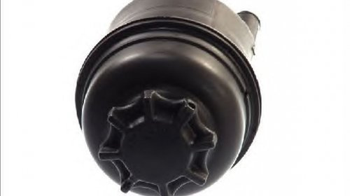 Vas ulei servo BMW 5 Touring E61 THERMOTEC DBB004TT
