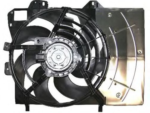 Ventilator radiator CITROËN C3 II (2009 - 2016) TYC 805-0011