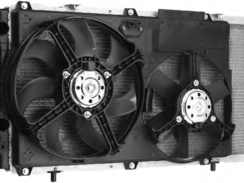 Ventilator, radiator FIAT DUCATO caroserie (230L), FIAT DUCATO bus (230), FIAT DUCATO platou / sasiu (230) - BERU LEK005