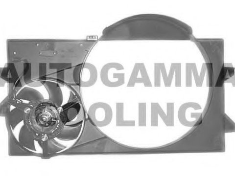 Ventilator radiator FORD TRANSIT TOURNEO (1994 - 2000) AUTOGAMMA GA201387