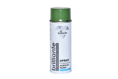 Vopsea Spray Verde Reseda (Ral 6011) 400 Ml Brilli